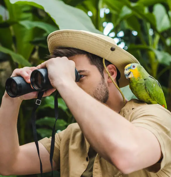 Birding-Feature-Image